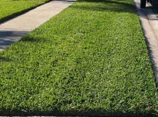 Sandra S.'s lawn service service result