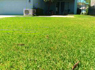 Jon W.'s yard care service result