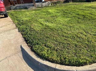 Ruby R.'s lawn maintenance service result