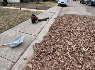 Paul K.'s Leaf Removal service result