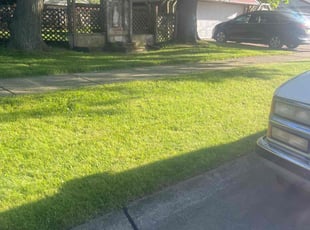 Eric J.'s grass maintenance service result