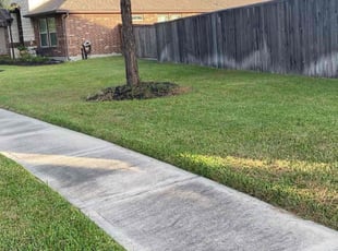 Precious M.'s lawn care services service result