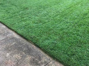 Steven L.'s lawn service service result