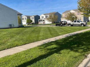 Eric D.'s turf maintenance service result