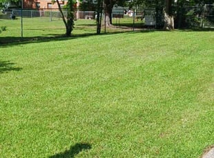 Michael M.'s turf maintenance service result