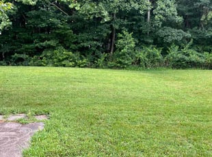 Jazmin G.'s turf maintenance service result