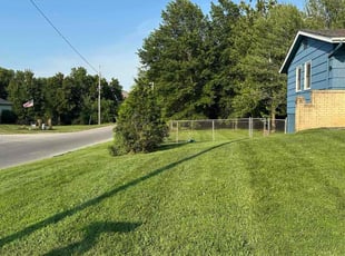 Alex L.'s lawn care service result