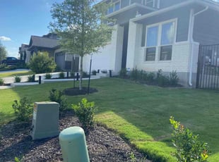 Ann T.'s lawn care service result