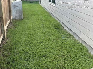 Andrea R.'s lawn service service result