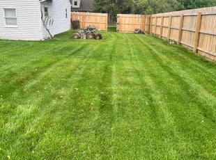 Cynthia W.'s grass cutting service result