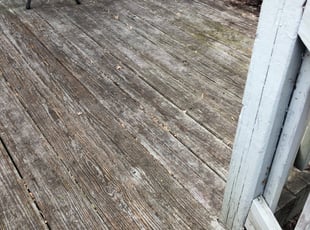 Lesley K.'s Bush Trimming service result