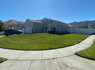 Jeana G.'s lawn service service result