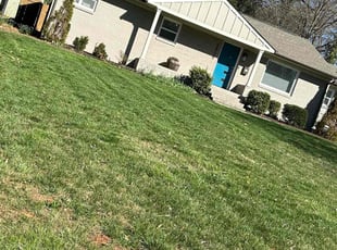 Shana L.'s landscape maintenance service result