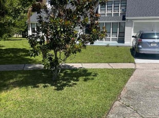 Rosita G.'s grass maintenance service result