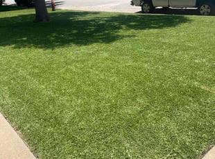 Jacob L.'s Bush Trimming service result