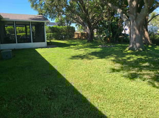 Mariesha P.'s turf care service result