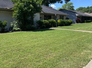 Karen B.'s turf maintenance service result