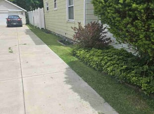 Lauranne B.'s lawn service service result