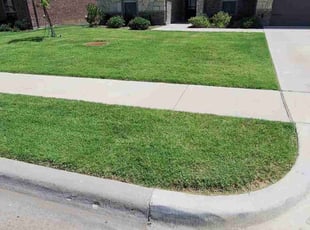 Prem R.'s turf maintenance service result