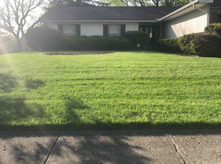 Ken N.'s lawn care service result