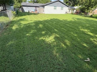 Jasoda M.'s lawn maintenance service result