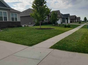 Sara G.'s lawn maintenance service result