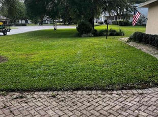 David W.'s lawn care service result