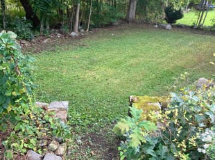 Tamara W.'s grass cutting service result