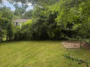 Mark M.'s lawn maintenance service result