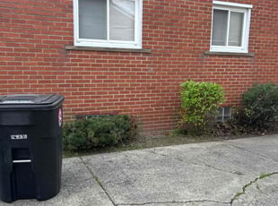 Brian S.'s Bush Trimming service result