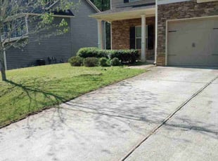 Michael N.'s Bush Trimming service result
