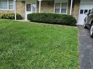 Andres A.'s Bush Trimming service result