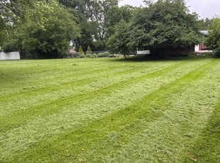 William G.'s grass cutting service result