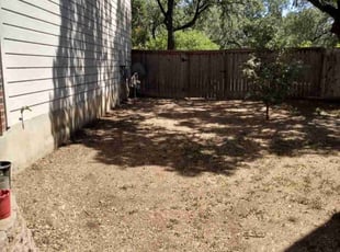 Doreen J.'s Leaf Removal service result