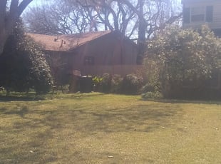 Keena M.'s Bush Trimming service result