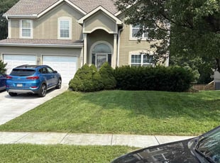 Ronna W.'s turf maintenance service result