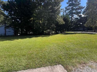 Claudette C.'s yard maintenance service result