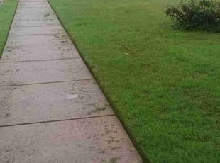 Matthew W.'s grass cutting service result