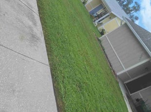 Long T.'s grass maintenance service result