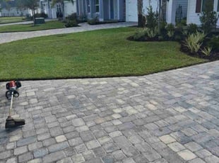 Diane B.'s grass cutting service result