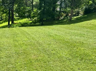 Brian K.'s lawn care service result