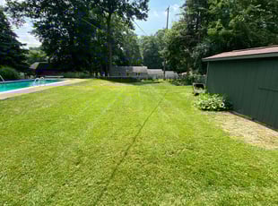 Wanda C.'s lawn maintenance service result