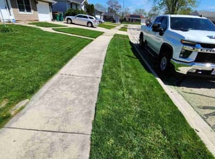 Terence F.'s landscaping services service result