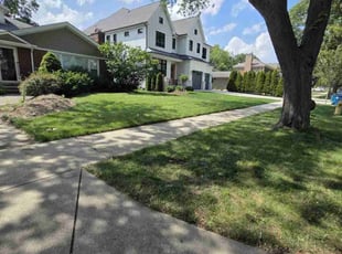 Francisco A.'s lawn care service result