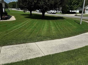 Joseph E.'s turf maintenance service result