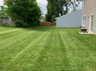 Alton E.'s lawn care service result
