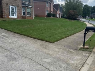 Yoojung L.'s lawn care services service result