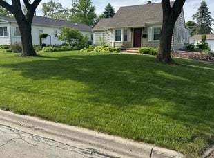 Qais A.'s turf care service result