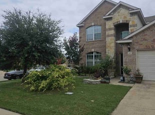 Duane W.'s turf maintenance service result