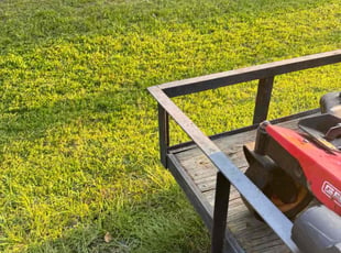 Patrick R.'s grass cutting service result